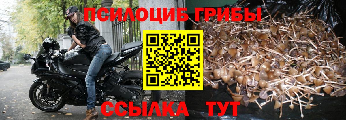 Псилоцибиновые грибы прущие грибы Реутов