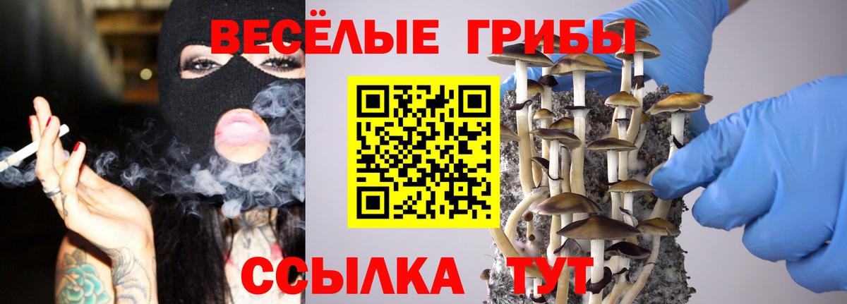Реутов  наркошоп  Вход с VPN  Псилоцибиновые грибы Psilocybine cubensis 